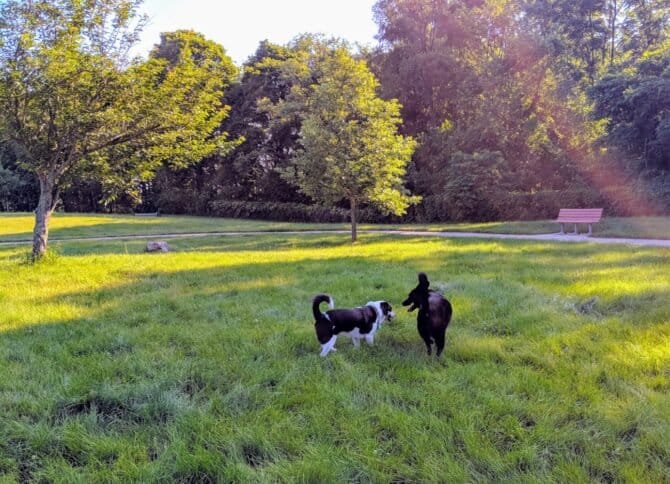 AC9h4nr1u8WO8jbwRSfcmfSjEUuSp U0XiMDMbrFhviCBYzxzNmSV1HlSb0CxlrRKGx9GTf2F2LbwPH0fiGHqrUuliECEX7ImUIZhjHxGQgWBRGS BEIkdQaejXn6ROMr3iCwFh LLMgkww1600 h1000 k no