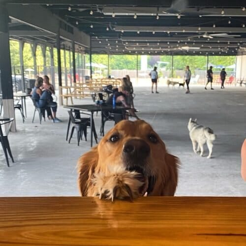 AC9h4nr1w90AeTBzcvQKsYdMQrIAv43z4mQ1SYiCzoqQaWTdJe6krfQB82HiIaU2F EhQqtp83QDGDnaimuNT2dpyR19ds5sfHw M2 Eo2h8 krOpU3X9OAnOPKURxn wC NbBLqLepx2Aw1600 h1000 k no