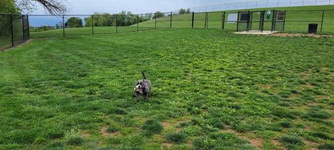 AC9h4nr25EJcWJJn6kmwmCEhuZtftlmF2tI6i1O8D1ykHLpEgkZIJQP zh2mxpH8fGPvmqgLWJuVqVqWe JmnfeTKuCg6z9y7jaKtiAaG 8XOQXJegh8AQG dhn 8bcuASyonnKqv45Rw1600 h1000 k no