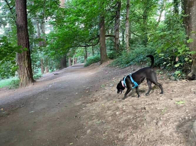 AC9h4nr268hNFj3DBElQu E11zYlnzWSiVJ5T8WIQUfGPP17ynwi53bvKc1Q5SI2xZVdN1nP0AMYWfDid9Kz3ckY5JVAfYyn6EPJ ZKpw1600 h1000 k no