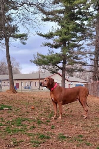 AC9h4nr2L6hf q07itifwIRUVM vcIFXfBB9adRbF50vMXDxsFuOfDXnQRdif3AJ0ilov2ptHWEEpsax676DWCAkcQudl4DVAhqFqOtJJQw1600 h1000 k no