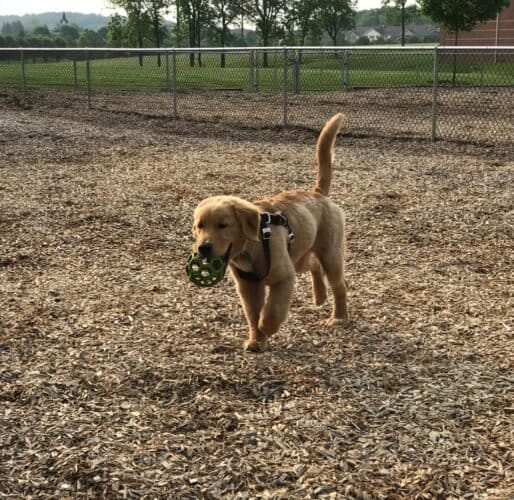 AC9h4nr2Q6ab4UtEQcsOVwYTT2LocBrYrPOQirlaljPFfqF iZglyTXd2ez ycL9Am2qfC 2AjgoGXkP3MgvkcYwycopY2TWrO6YLl3TMZn7 k9GgAcoXJslZBeiWDt oGJaREPWSNsw1600 h1000 k no