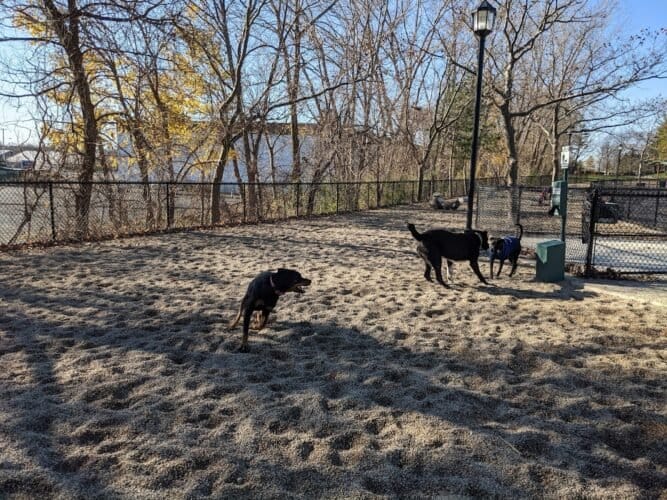 AC9h4nr2Zob5XNZ tPprpS5w0dYdg0h nZVqqJ05WuYpQHoSRhBE4buZniTV7swkWUcE9X39k7 mgFKpayC3ciSvqSiVwhTgPAjZaRgvcww1600 h1000 k no