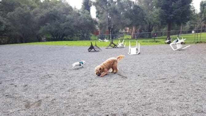 AC9h4nr2cHtOd15Wa3QrWjrT 9N5kpo LvW9DatRUjJ0yE eYZ 2mxLRwDgBuM1lguToV5RVllR2tE8ob06mbYb4e r16 g1hQzWuKV61pKYP0qaSJIDR8oHBcRaLkSC5Iah0aNfEvgaw1600 h1000 k no