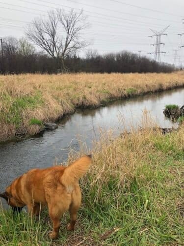 AC9h4nr2m1sqK 5DxWOLG oyRhfC V6R8aJtxClJYOKQx8 Hvv4rRZ5lNeaXxeSKQqLI9rmKU0Y4OGeu3NWe3guhkxC7MnGevsO7CPLs06OnO 2e Kpv2 oLc9ydoPV8VnwptDi5AEI 3Aw1600 h1000 k no