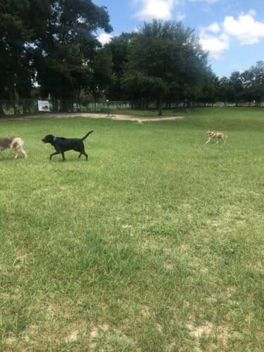 AC9h4nr2qEhZQJ6CyA4VO1Qza86RigpXJb hJLewTzuZ2tiYEVRXgy8XLk3DotnHLVJWpTbVxOwjsR0X08AB1GYWZUYEHcVAFAsVg9QEODOpRNnPU1 AGRjR09CVIcWDOd5pRQGRtHhmw1600 h1000 k no