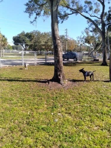 AC9h4nr2sSLCojQApOJ1pc0xKHy8AwIXFeqSsze2yD2U4fnIO8QXi1WEfnH5Wc3ZwodljUEOXgBpKpZCz7a1T1xpoAyr ugRTmpx2YWmlBzxcxyuZkB9wH i4j0CcrjcnlIFBOr8RsAw1600 h1000 k no