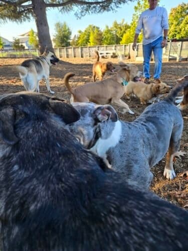 AC9h4nr3I9hWZ2gAE5HWXVtPGBrnYS 7vkpj584lAfG8UGDvWxfj2G2t5CYPhlVKj3JQDjzz5FVhkgtiQv9asw7nKeCGfMck7m5bbitttVvLVjh2kYVTWxsF6UfGO DUl7PDrqz0l6uww1600 h1000 k no