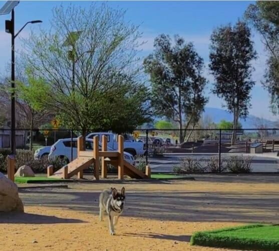 AC9h4nr3NFgbldyPvkvCzd5ZKTTWmx0D3AJfN9qnfg8284hsoQ4IswoDgmCRyeDQ4w8olD1mCclyoyEG2p8bsW JK2Rei7HmEGbJ8u7V6bBhnnSdMUVRWMEEMN8AqMG0NEGWYSbWGDIw1600 h1000 k no