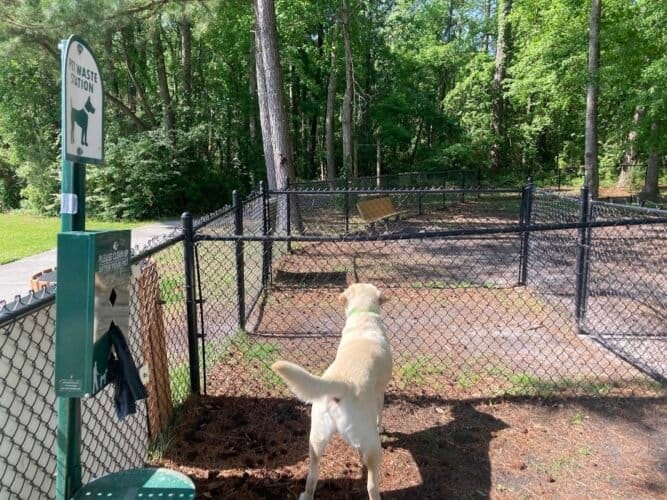 AC9h4nr3NG u9v9xQbkVT4DDlXMTepJQM1mI5Yw465yQucCJPcn9el0vj6c77V6EPfyLqbrBj70Fwrxt5BpEY4Qn4 qcAkC ChweTFp7w1600 h1000 k no