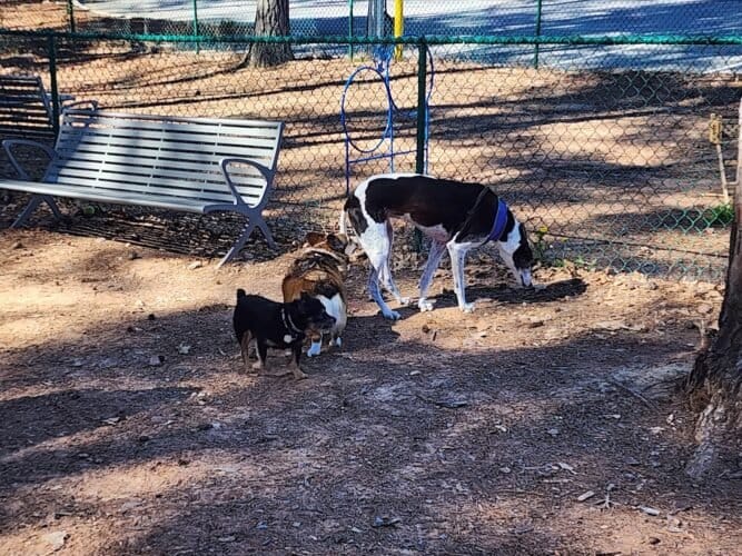 AC9h4nr3ktfulHtzOv8 Vvd7LMK06UbPZT0dEu1ZA8rrYj1tyLNilT1jT5iUB5i9qeUfqLB2DSHRjjNRg1vCIMznMr3swIWAiWgoWATE6 bQXG3Tuc1bdzf PK gNIU59A2dd5vn2PDTzww1600 h1000 k no