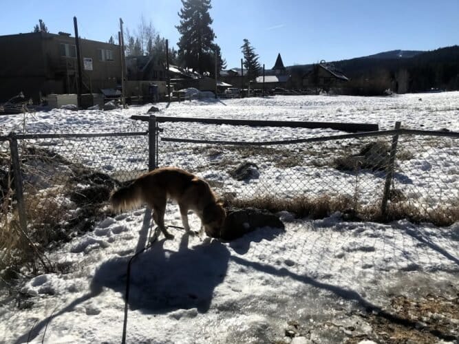 AC9h4nr45urBo8gPVESO8DBEQePMc1jw41WFnQD7k9 Nl8U pYy0IRHftWIvhWr jBJpEtHv2uD2hCgZfV0uOLbcEWNcnSpExM kGm970JCr0Wh6kwXfR IiwFZCtcrKILHpcQ45amIw1600 h1000 k no