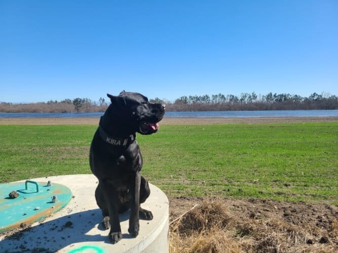 AC9h4nr4HA26K6P9NmazB Zt8zsIlrEuDF56haur1Nf m6PQJYIxx2Wq4XZR39gp7ZdiNbkcCS9NxZ3Vbv0YUxIf x7Oawy4eCEAQ9Ck2UF5YrhVTDBRfM5kVjS332PVcRKmJcf4Whx2w1600 h1000 k no