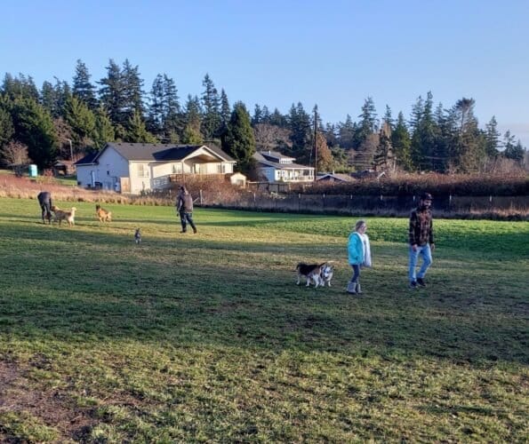 AC9h4nr4Htfh iqpiqpf8zRRv3vL9sfvK8sBcIeVLf7dvCMZciaPYEo rJkRKpHjmSkI9TyG2l4Mpd0HrbbaQptxGBt9dG5P69Uf vA  C 2xYRj0NGy2QpQCKM tn9ldIPNC fUq1mRyAw1600 h1000 k no