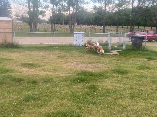 AC9h4nr4cuzqClZJWLiE p62STkZYRpoZBuMHAx26581yXDfCejsaoiB3KLD mJl2t1Eg4kWmIwFPV74 nfU6hdDwZ9xhv39DKRj1JM4hhbenvjMhWp4S5jF0UxNheaTX2M76ayTm1i iQw1600 h1000 k no