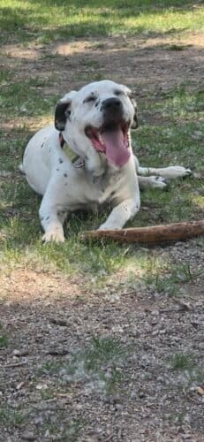 AC9h4nr4dS6KRvIQ Ido 3XGTI1GDJ3EZuSmnh8E7B3z4wHp2IWVd6lMAx3eav8P 274YjS99 HcszVwUm0r4F pegEiq 4IpqymPuAi NHlxYj6FOaG 3Ks10EK vLCDcpd hP2q02OzQw1600 h1000 k no