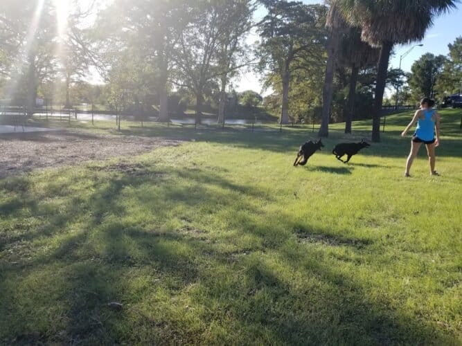 AC9h4nr4q2Uui5nLz1q8RY7lstPQWCOj0pMoVb7FA6JgasaL3b ZfkzgAkFApaksd5BNFinwSo7PJNtgn5MSzoexfw9LWYo0xmTdv1FO8 ekNuVJPa0qHh4XH2bzs6Odb GbtIFry9L5HAw1600 h1000 k no