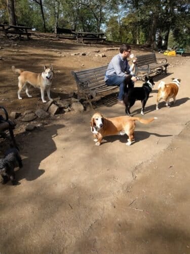 AC9h4nr4rlJzutP ix6tMzjL J1u6nNRdajJZJ95 wv0UA58Qcn4oQAIydFZOBNHOQMQnlCTdDmRhYVK4RQIGX7rwjczSQMq7FIGrLBoydsxm0BUeDlIqJbk1Ef CBCOwr9K afFLRxGw1600 h1000 k no