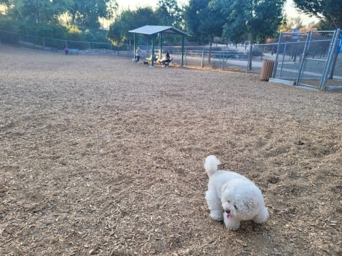 AC9h4nr53HB8ugXo811RMDyplPxBZNgY9WP42q6uGQmH5CAmo5LcO0 nLOc6IRrBWWzYVRVYB5I0vzY2b X2C9i0woeQj80Qk99YQwoQBNnmmE9EzpAde QlKUcvu27PuOmEv DQPBXSEQw1600 h1000 k no