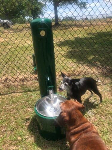 AC9h4nr59NEmFXMYxhlYTkZ5KW7d8115VhpNN0p IEc1LC20f5ZZtzM0w0jgg3jOBZI5Yd BtwIzEnx4w 6M89rCEPCkqXEgnoDV5OP9eKqCmQR6MgGU5Coc68dKguozJijLWnjyu0odw1600 h1000 k no