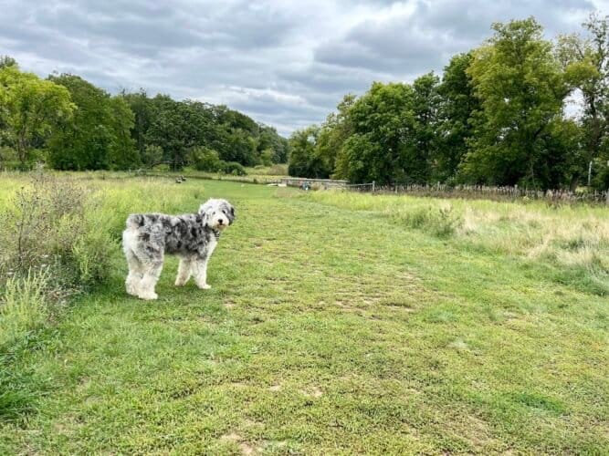 AC9h4nr5jVrzvR861sm9gbQq09Gu6G5HHhuHACJ3Cd2MKb5JsdBYkm16oCjws7J3HjcIRzYWCBpq 4DzG9NJ3PHhT8EH6GT7CaZ6QpldbuUkOfFcwE6Z6I8Jn2l0wdbo36U2V1uGQLYw1600 h1000 k no