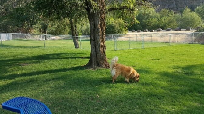 AC9h4nr67VHvKkzjzb jMMKe7R21KQ8DKzxEZg0gviiu9hWY IgqXzUFtkkPFlYuPmvdx42DOBu2CuVbu1n292XKa2 KGRJ1cA84yi9NHGhIJydkbtN0s7Trsww3NlN38u5IpVKxOm15zAw1600 h1000 k no