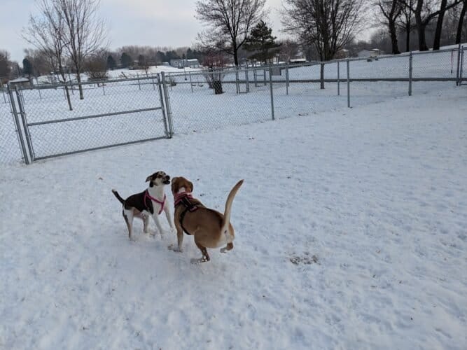 AC9h4nr6RtqXe6ZZqDlGcJZLaYCUR0IIkNLSEW03wWiX3dJI3pPmbVKtY9L1iRs2QjoM91 ngmoJB oSX47Ojfoa8R3Vcp7BcZn0bUaJDkvX3GeLJutwcQGv2LwoYthwKRoNJL8z9Ljiw1600 h1000 k no