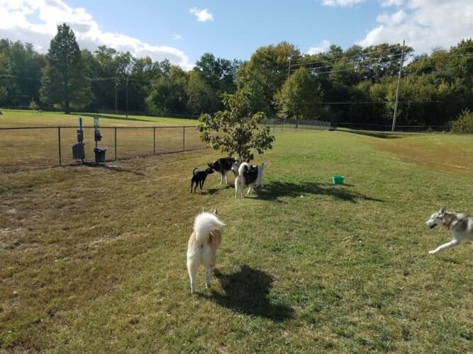 AC9h4nr6Tp7MQSbw1o b31aKN1hLIDIH4UhKTHmoEr6yAP4uX7NNLfIk7crPX3Q6nLC A02JtxcPMx1uD2q 4CYPxbbpkA2cAbL7dPoz2 mVE7X4nI7hyz8PnmJFg5rzn8uW8Clw4uaKsQw1600 h1000 k no