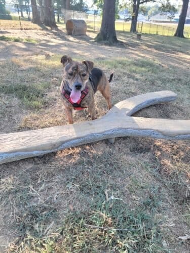 AC9h4nr6UkRcOK2xZFqwXIBRp5mI14vkqjuuH2amgjBMfr0qWo tVvJMzKcqH1zLH0yaEAO7kSwlif7TbWNOxVlXaWa5WwNFPXK4oDUUSjmjrPmaHC4br0BT7u6uYWKHOZJeV9MEVv1Bw1600 h1000 k no