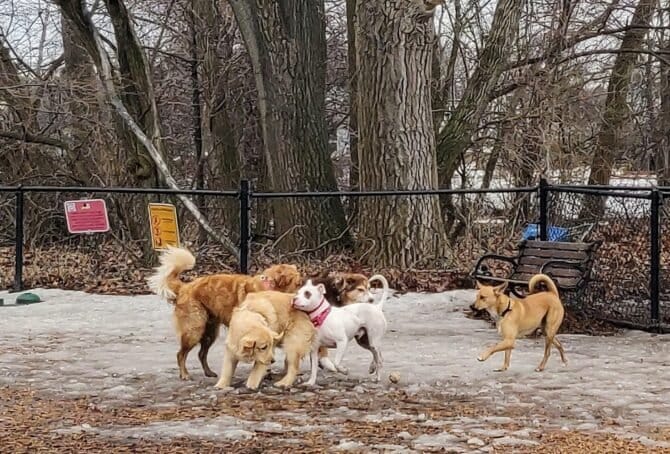 AC9h4nr6YdtxxRZvTlCKjxdtfjXtY7Jc d3ux8te7ppFwkRKo74bd3ywauMkfKVreBDcBP3j0 FfwdKOdy3dJ44Hu2iav7vuVx19YeHYaaIXCf4bG Bu BCGOI8PikLWwouNrCfZu8sVvQw1600 h1000 k no