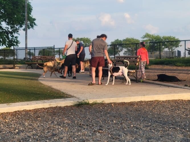 AC9h4nr6emlCwnsfCNMhkF9SBf WxesGGXVBeAVBtVxQ4NxVLerRoQhIwDm1lg bdYNjPzCW2ZhWtG7i8p2drTEvMD DNUuV1lnklrsxI qXSPA0396k4Vu3 C guv85ZGxPkbzIIDZtw1600 h1000 k no