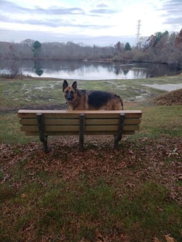 AC9h4nr6iYxIGrUeD1dxyom Bb0vgb95bULyv uj0ZEayVyuJAHCEzmdTMsLy4MCQBGR AtFQ6l7zFTYpf3 wvr7yS3vjTEiW4NnhCYd0Y2CU833wueiQKAnwHXJ 7xhuhzrFN zlC3Tw1600 h1000 k no