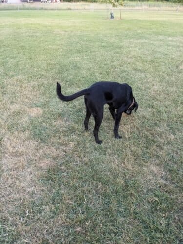 AC9h4nr6ox8tunKAHfBCz1WPTNqgJ I mCvWMDVHFc 8aFwwQE9foDY8AsD4 7PFBBb wz glWB1Iz4xsYircbB25AQLaDLk l15b4cIViNy7aYgE4lfHzzYDDL0Fo7ezhnX6yYENeHjCww1600 h1000 k no