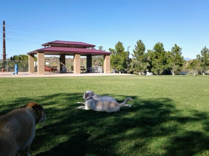 AC9h4nr6vfcSePDDvitJbZagLBodrDqFJEW8d4hrvUBitwdBMvTlpSVe8JwefhLY FEssTEKd2MusiCND6l1iHqZCc5UVvm ZVAdZ7BjfhXqKuDuzkEsw6dngLxSZhyKvYjlftpGcbsw1600 h1000 k no