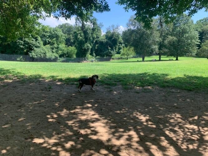 AC9h4nr72sM4o9 7klgVx1ZVKqbIVIFfLqHpBO148ue5VhEgPL0kl2I6K2HWGkW8LEWMmUobODEW3 UMq30cYTAZz5zTMO8iF0QgigHjARQIZ4jIj6tSQG0HXyJLFAlPC2UZlUJ8cc6jw1600 h1000 k no