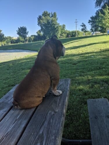 AC9h4nr77gafiMAlh4AKXwp3DNmO QfBYxL7ezMFkDEk7KFiKQMzIKZ47XFwiuY1qnOcuynDdS eJpGhyFyNPKJtmSqS0lhZMrgAMYDyU1UaoAqg4MVkCdYsGqLdbbvyi7RYhHiPrhfJFAw1600 h1000 k no