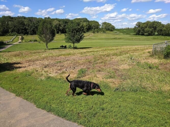 AC9h4nr7FyrvjiPTu06Q5 RXKw2XOTYIfGc4Bu2mjmpC5ozM6xv2dZE6gSAb3DjMN2EGP2C4uTf6m wAWQRMOswBZxE2CgjeHOv8DQT7KowqXKAe76xXyE 7R6H91ZMX0jf8a0SsuRlkw1600 h1000 k no