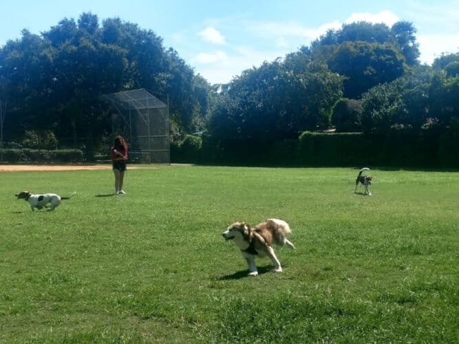 AC9h4nr7cYdeogwvz2Jl268XRnHSWoVjILnj9hk9IWCfkw0JWmR5K79vUQ4kYe8UJcvkR5ssnFddVpPqSPeL7BTXwrs7E8w2OjEy8ruMYQ4IwvAmDe7jt1Ui1l gjY5Ca6 FxiPtZdTjwww1600 h1000 k no