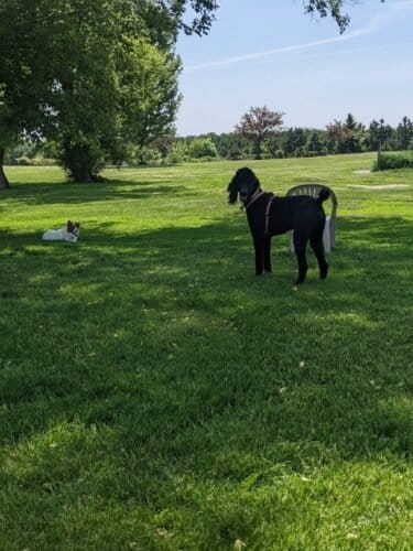 AC9h4nr7olncmTQw2Eut9mF6T66tQNEe5PivI9OKiDW9a392 iIyWvfcG0lwUrztq5ElfnKbZhWyI8CG1I7R42qJzwLDC2RocpP GY1AFww1600 h1000 k no