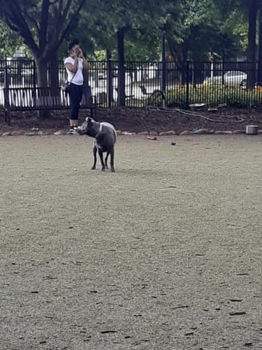 AC9h4nr7u4BvK j 0miSemRbO8gEwwTSwfI9RQdaMJ j0gb85Bpy jjz07q59apPlD9V2J0mRtZY4n3DC7IMvkXHGck t8W6mmpLD7XwPx8w1600 h1000 k no