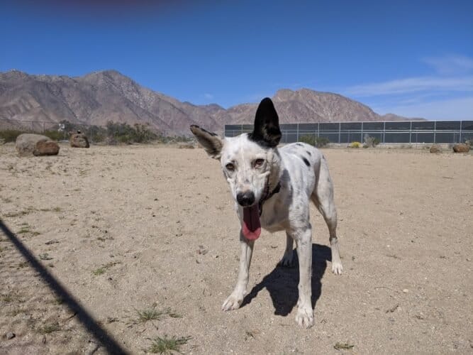 AC9h4nr7uTSDyZegyJazzFhByUNrNrIWjmlDFL67RmWp3cCh6nPwsBIgX18m5B7zY4XyW5GlSQ5vu8sEvB8v5LtS p2RR twp3PPHPIhUztSVN0X7oPzwpZX7QbWkefEOku1Ia83Ehplagw1600 h1000 k no