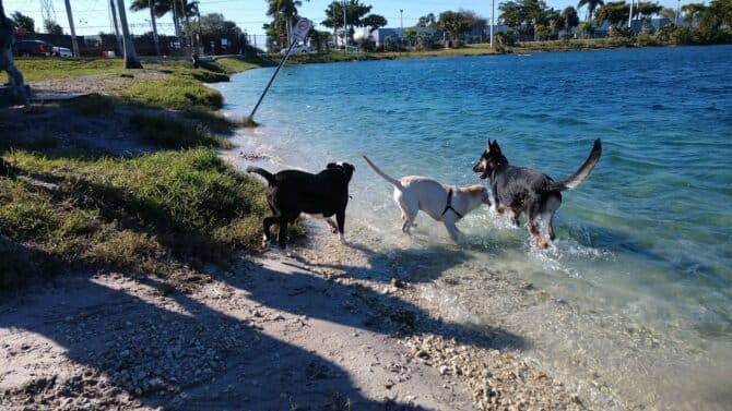 AC9h4nr7uY0h3yOkHqKrd6Z1DBon1r3l3ZbuVMWJwiC 6W8mXdFnJ4yS wAALhXa0Leh6JSzzw0 ctO4x B ZdlN75OxCo IsUigynVtNpupZkdP9bc2S42KsnkbScIeXhER0HoPrJYw1600 h1000 k no