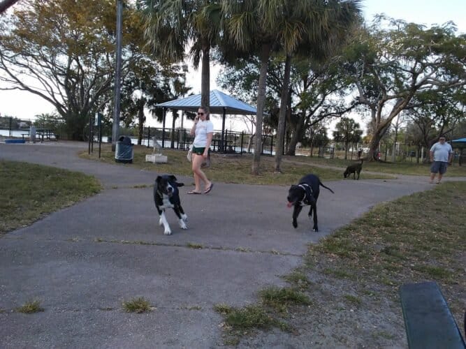 AC9h4nr7ukueYgGKZwRwWym4K FDguZFCl95vBhHHfV8CovDAPBFfbBZhgu0LDg6QCTcBU9PKBBOPDV7naGsrriLsr6x9 86wAov5R b ww1600 h1000 k no