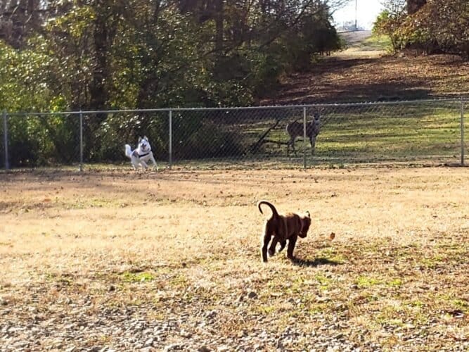 AC9h4nr8ASEfBrmQ0BYr9v6 sifg0ah2yd5wlKnu kFrW1lFEputrYL WpGhvWHuwlg4ijIH9ObIRV5zXPcGJpBjZgBKp6RITMxSentwr6SViDLYIWFYpviKKXwL4cQ8xeXPuJZrlgtuagw1600 h1000 k no