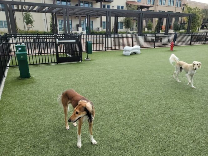 AC9h4nr8C6zGuuNOY0Awx89znDSg lFgf1VbyVQBEYlysnT3S6tNNPCdvgo5fdJ79VA reaSyK182I QTZYVo7B7xfNvNAlIbEiHIOhLqiGK8A083zwlGIBhp0mxO92XBsUU K62di0Ww1600 h1000 k no