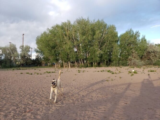 AC9h4nr8XKb2gU1tWweram7dJjJXD1yOXMGMdZDapQt4KJyYIIUtvo qfnr5jahj5Fk3k8jQuPlMk1dBPFiNO6 zZGtSe5MEkSwdWRvKhKKxwaxGKoiim8NMHDDU97ppG2sqpnm0D9QhQw1600 h1000 k no