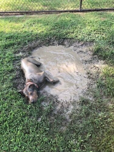 AC9h4nr8bgPxR62UBpc4KCp oeWrRNmtjSyrnDCPnlKi39Pxk5Q4bEr5gAo3MJZOQVAxcR0lyOoaTVB 4Sg1091dNPSolF8gs2fuzpt7 C4asFEqzN5jGbNh0 9a06T  YYUwMkUE1Xw1600 h1000 k no