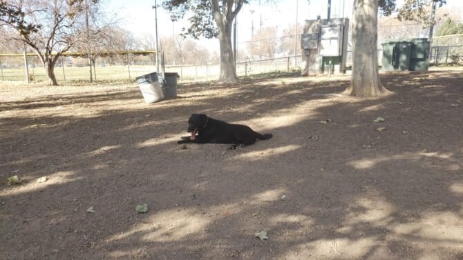 AC9h4nr8fPEtKAm wMcQ9RJQBM65Yl8 d3v KkF9OgntV4c3h5HkyRzJh7q8Um2lJPcROcZ0P8X2n Ql M3XH6reBReVcXMFZ8haMmWJqV2GsxZoJ6bKAzxbJ9 uqj35PdEBD 9N8t1pw1600 h1000 k no