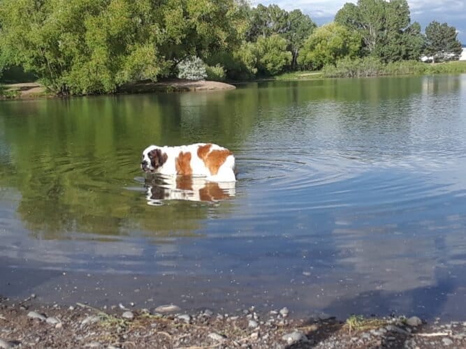 AC9h4nr8fi9SI0eG2Ijz6Xs9RoDsfhTJMvwb fnuUBJlyhR2rzRqYhMplvzNusTR0BjF8HBY7D0D21n61cWKn7XPI3ghYksOgz9Fpk7wHVFMCamCJAVMnbx2pLC3P YJ5PW06ch Ol0jw1600 h1000 k no