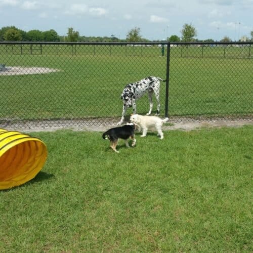 AC9h4nr8hnD v46mqXDRqqwPTpP18AxW 4Gto0F6JF0g1 FqU9MAymb6 F lGGRAB1P8morqwGVlal1HklQmLxoVvQjEao8WwS4lABTuVr25D3OR HfzYmlO 8Jp0 B2OSoG1lO16u FrQw1600 h1000 k no